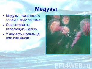Медузы Медузы - животные с телом в виде зонтика.Они похожи на плавающие шарики.У
