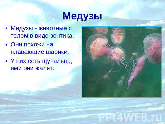 Медузы Медузы - животные с телом в виде зонтика.Они похожи на плавающие шарики.У них есть щупальца, ими они жалят.