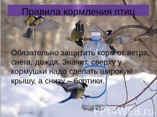 Правила кормления птиц IIIОбязательно защитить корм от ветра, снега, дождя. Знач