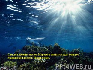 Самым глубоким местом Мирового океана сегодня считают Марианский жёлоб в Тихом о