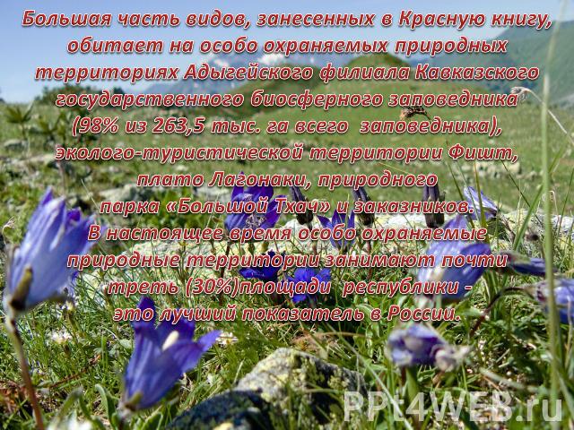 Большая часть видов, занесенных в Красную книгу, обитает на особо охраняемых природных территориях Адыгейского филиала Кавказского государственного биосферного заповедника(98% из 263,5 тыс. га всего заповедника), эколого-туристической территории Фиш…
