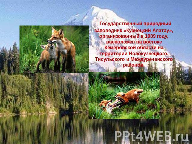 Государственный природный заповедник «Кузнецкий Алатау», организованный в 1989 году, расположен на востоке Кемеровской области на территории Новокузнецкого, Тисульского и Междуреченского районов.