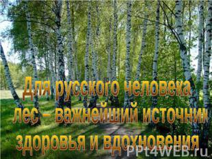 Для русского человека лес – важнейший источник здоровья и вдохновения