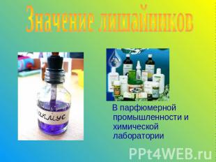 Значение лишайников В парфюмерной промышленности и химической лаборатории