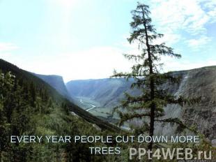 EVERY YEAR PEOPLE CUT DOWN MORE TREES