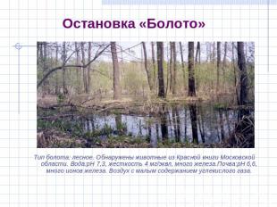 Остановка «Болото» Тип болота: лесное. Обнаружены животные из Красной книги Моск