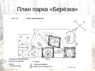 План парка «Берёзка»