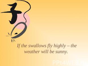 If the swallows fly highly – the weather will be sunny.
