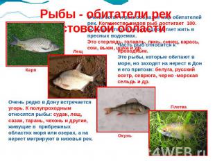 Рыбы - обитатели рек Ростовской области Очень богат и разнообразен мир обитателе