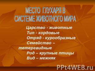 МЕСТО ГЛУХАРЯ В СИСТЕМЕ ЖИВОТНОГО МИРА Царство - животные Тип - хордовые Отряд -