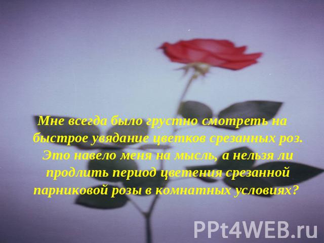 Мне всегда было грустно смотреть на быстрое увядание цветков срезанных роз. Это навело меня на мысль, а нельзя ли продлить период цветения срезанной парниковой розы в комнатных условиях?