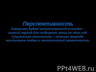 ПерспективностьКормушка будет использоваться в осенне – зимний период для подкор