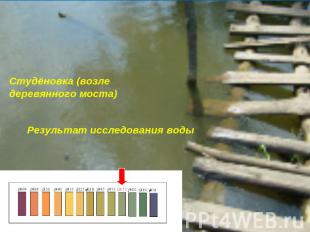 Студёновка (возле деревянного моста) Результат исследования воды