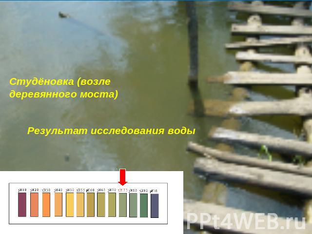 Студёновка (возле деревянного моста) Результат исследования воды