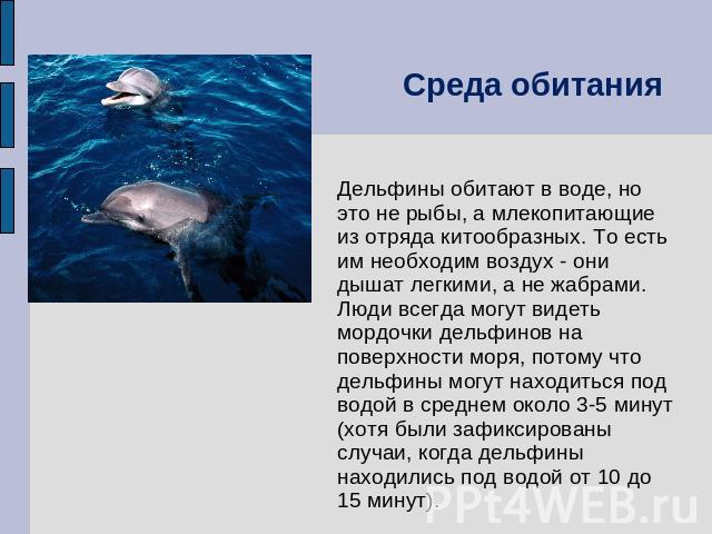 Среда обитания Дельфины обитают в воде, но это не рыбы, а млекопитающие из отряда китообразных. То есть им необходим воздух - они дышат легкими, а не жабрами. Люди всегда могут видеть мордочки дельфинов на поверхности моря, потому что дельфины могут…