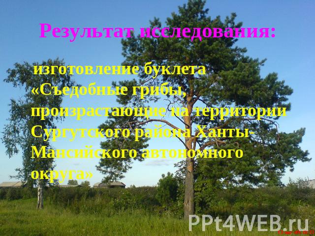 Результат исследования: изготовление буклета «Съедобные грибы, произрастающие на территории Сургутского района Ханты-Мансийского автономного округа»