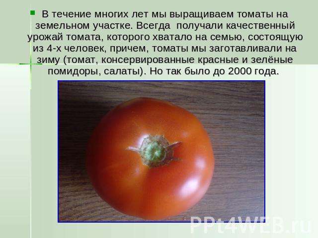 В течение многих лет мы выращиваем томаты на земельном участке. Всегда получали качественный урожай томата, которого хватало на семью, состоящую из 4-х человек, причем, томаты мы заготавливали на зиму (томат, консервированные красные и зелёные помид…