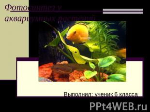 Фотосинтез у аквариумных растенийВыполнил: ученик 6 класса МОУ СОШ №4 Бояркин Ан