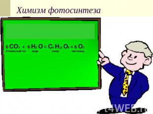 Химизм фотосинтеза