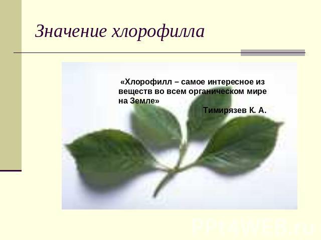 Значение хлорофилла «Хлорофилл – самое интересное из веществ во всем органическом мире на Земле» Тимирязев К. А.