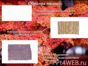 Образцы тканей: Исходная ткань, используемая для окрашивания Результат крашения