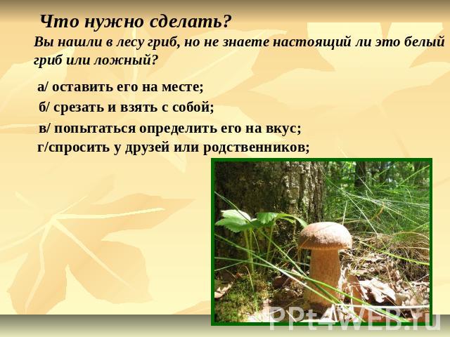 Что нужно сделать?Вы нашли в лесу гриб, но не знаете настоящий ли это белый гриб или ложный?