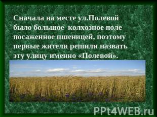 Сначала на месте ул.Полевой было большое колхозное поле посаженное пшеницей, поэ