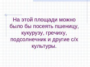 На этой площади можно было бы посеять пшеницу, кукурузу, гречиху, подсолнечник и