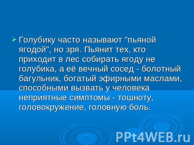 Голубику часто называют 