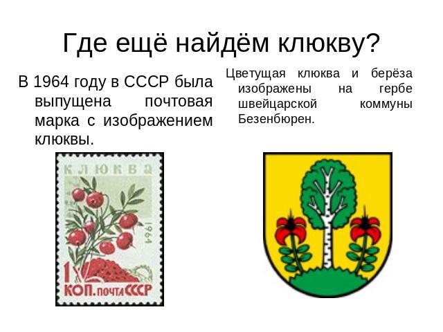 Где ещё найдём клюкву? В 1964 году в СССР была выпущена почтовая марка с изображением клюквы. Цветущая клюква и берёза изображены на гербе швейцарской коммуны Безенбюрен.