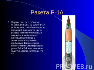 Ракета Р-1А Первые полеты с собаками были выполнены на ракете Р-1А («Аннушке», к