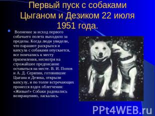 Первый пуск с собаками Цыганом и Дезиком 22 июля 1951 года.  Волнение за исход п