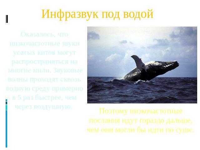 Инфразвук под водой Оказалось, что низкочастотные звуки усатых китов могут распространяться на многие мили. Звуковые волны проходят сквозь водную среду примерно в 5 раз быстрее, чем через воздушную. Поэтому низкочастотные послания идут гораздо дальш…