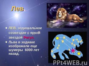 Лев ЛЕВ, зодиакальное созвездие с яркой звездой Регул. Льва в зодиаке изображали