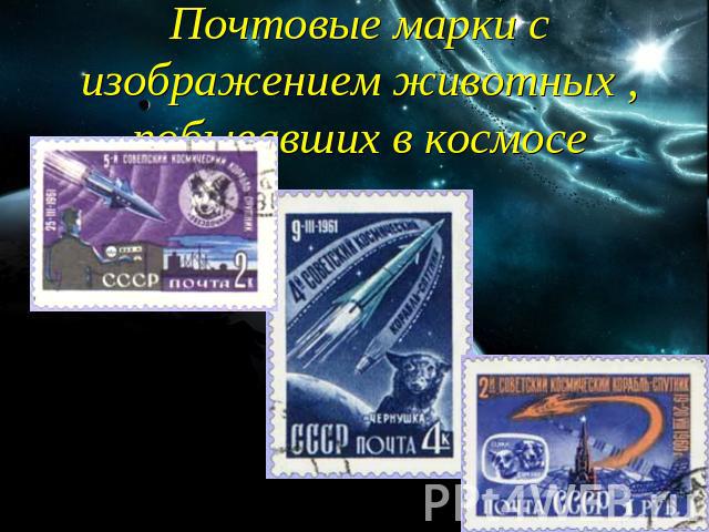 Почтовые марки с изображением животных , побывавших в космосе