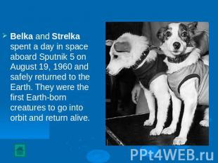 Belka and Strelka spent a day in space aboard Sputnik 5 on August 19, 1960 and s