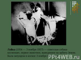 Лайка (1954 — 3 ноября 1957) — советская собака-космонавт, первое животное, выве