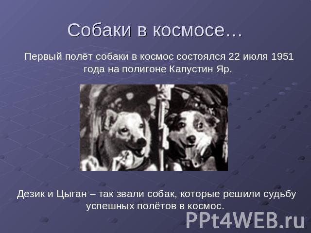 Собаки в космосе… Первый полёт собаки в космос состоялся 22 июля 1951 года на полигоне Капустин Яр. Дезик и Цыган – так звали собак, которые решили судьбу успешных полётов в космос.