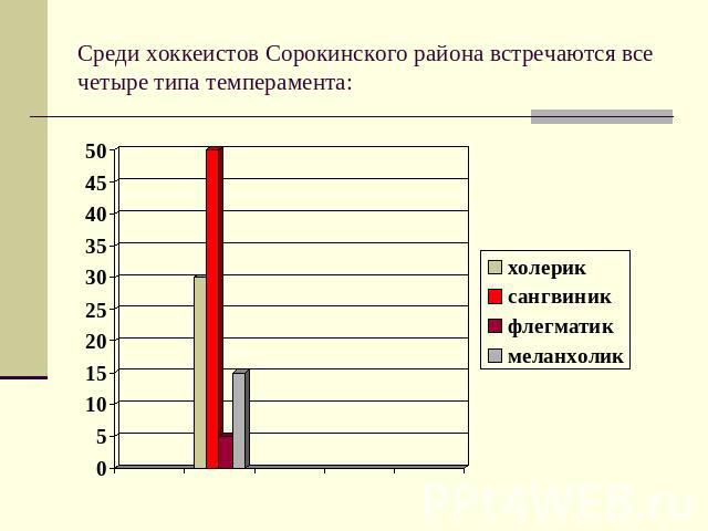 Среди хоккеистов Сорокинского района встречаются все четыре типа темперамента: