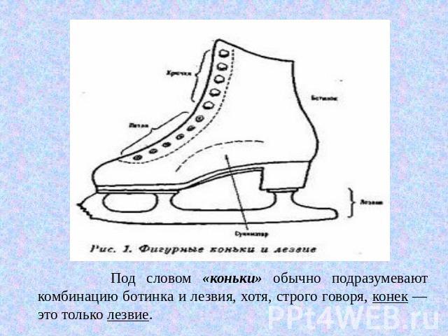 Под словом «коньки» обычно подразумевают комбинацию ботинка и лезвия, хотя, строго говоря, конек — это только лезвие.