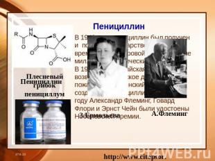 Пенициллин Пенициллин В 1942 году пенициллин был получен и появилось лекарство,
