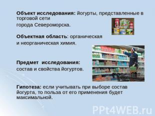 Объект исследования: йогурты, представленные в торговой сети города Североморска