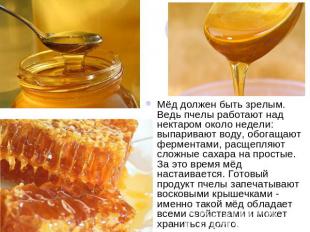 Мёд должен быть зрелым. Ведь пчелы работают над нектаром около недели: выпариваю