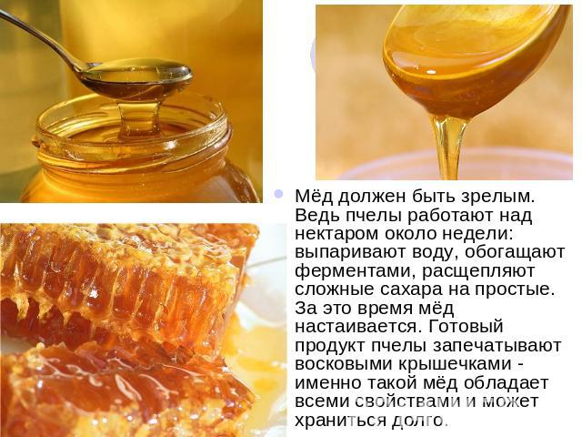 Мёд должен быть зрелым. Ведь пчелы работают над нектаром около недели: выпаривают воду, обогащают ферментами, расщепляют сложные сахара на простые. За это время мёд настаивается. Готовый продукт пчелы запечатывают восковыми крышечками - именно такой…