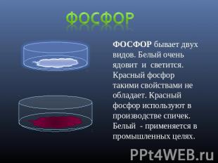 Фосфор ФОСФОР бывает двух видов. Белый очень ядовит и светится. Красный фосфор т