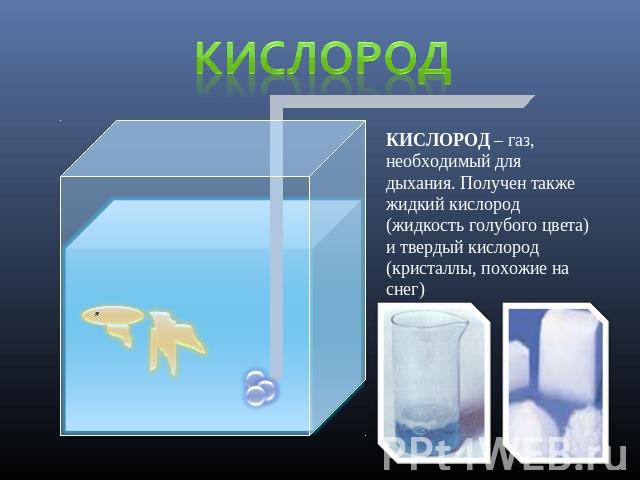 Кислород КИСЛОРОД – газ, необходимый для дыхания. Получен также жидкий кислород (жидкость голубого цвета) и твердый кислород (кристаллы, похожие на снег)