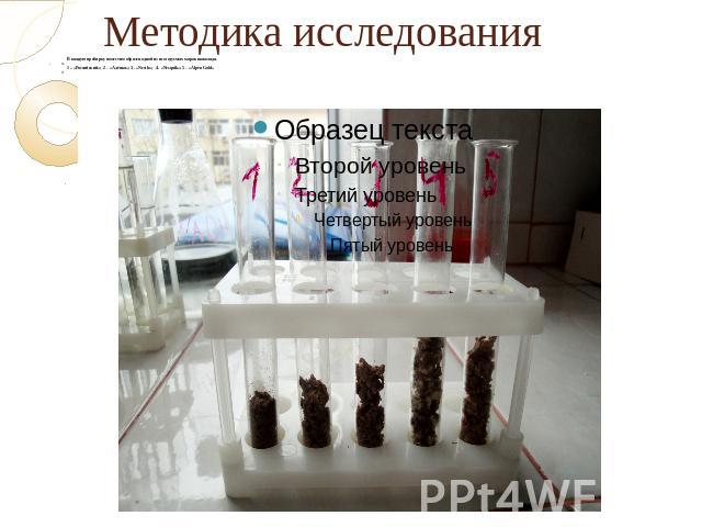 Методика исследования В каждую пробирку поместим образец одной из исследуемых марок шоколада.1 – «Российский»; 2 - «Алёнка»; 3 - «Nestle»; 4 - «Nesquik»; 5 - «Alpen Gold»