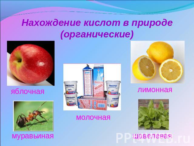 Нахождение кислот в природе(органические) яблочная муравьиная молочная лимонная щавелевая