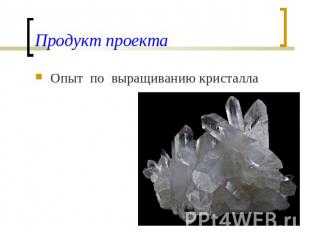 Продукт проекта Опыт по выращиванию кристалла