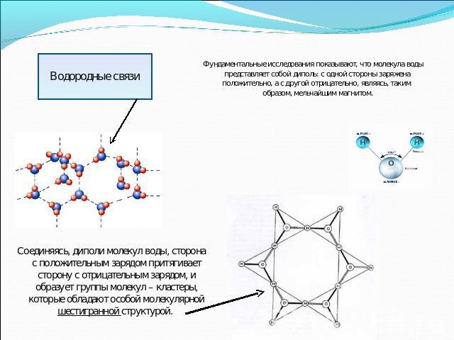 Водородные связи Фундаментальные исследования показывают, что молекула воды представляет собой диполь: с одной стороны заряжена положительно, а с другой отрицательно, являясь, таким образом, мельчайшим магнитом. Соединяясь, диполи молекул воды, стор…